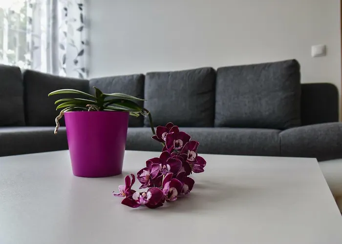 Mardi Downtown Apartment