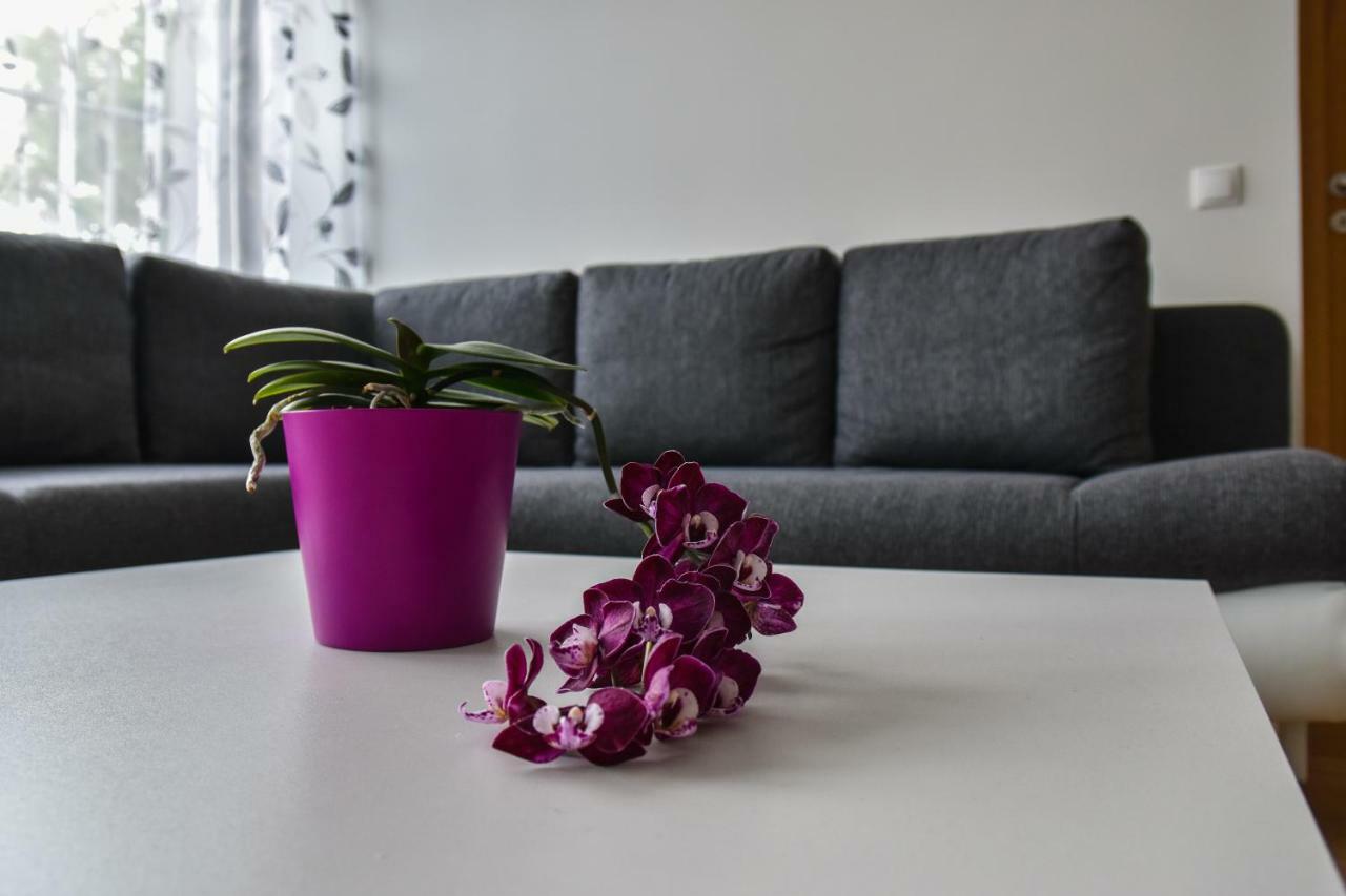 Mardi Downtown Apartament *